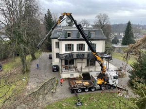 Bäume Stücken in Zusammenarbeit mit Inglin AG